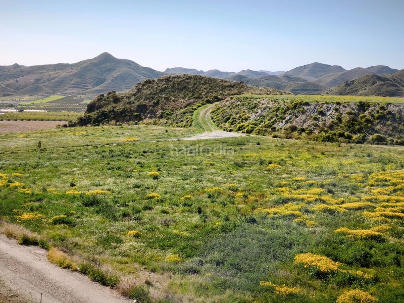 Foto 44666733-59d1-4c79-9228-70d91e1c94e7. Finca rústica a Morata Lorca