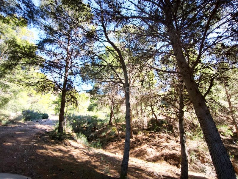 Foto de4f2c85-4ed2-4228-b7b9-5170820ff02e. Finca rústica a Morata Lorca