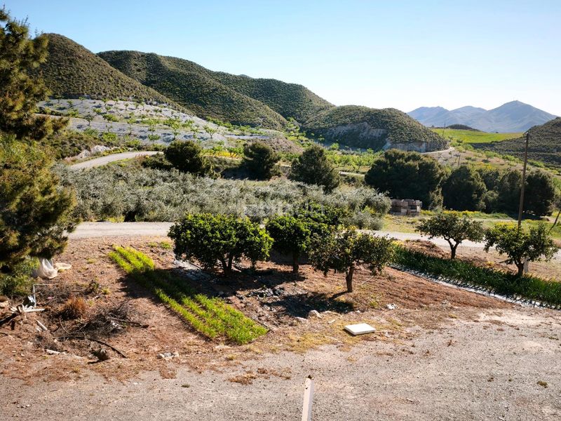 Foto e1f3e84b-4350-486d-9280-d8c6eec293b8. Finca rústica a Morata Lorca