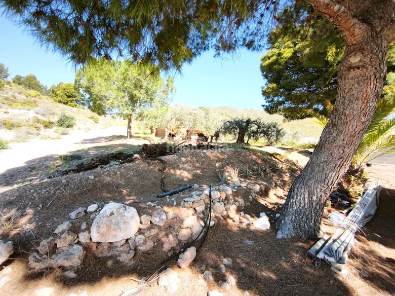 Foto f37be9c1-0d7a-4946-805e-fe6bd14ca21f. Finca rústica a Morata Lorca