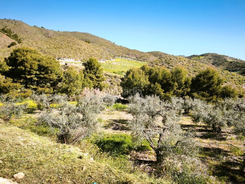 Foto fe3145ad-b0f6-4936-9f3f-edd1a8a5ad7a. Finca rústica a Morata Lorca