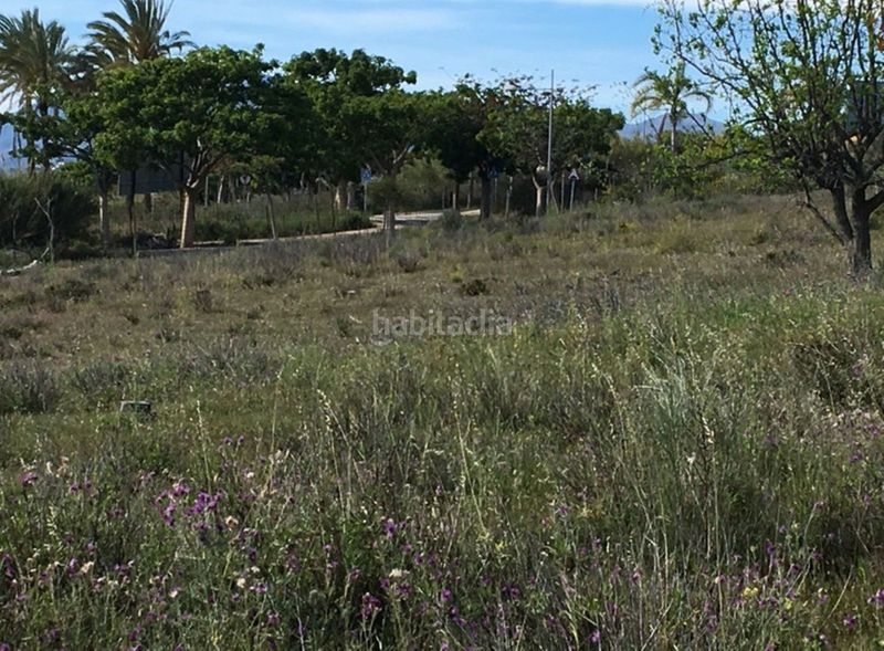 Foto 4eaa109f-9d7d-496a-90a1-096b9d0a9872. Masia a Cancelada Estepona