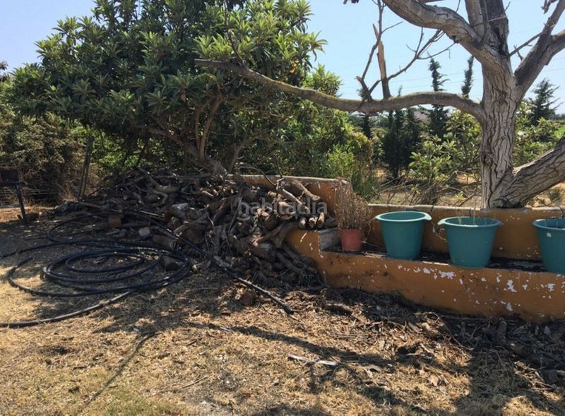 Foto ca452210-f89b-40b8-97b1-af0768433a8a. Masia a Cancelada Estepona