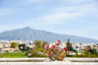 Miete Zweistöckige Wohnung in Guadalmina Baja