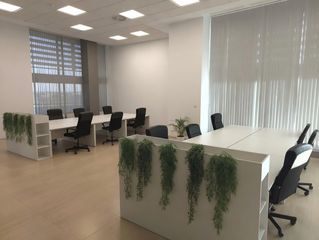 Office space in Barrio de la Luz