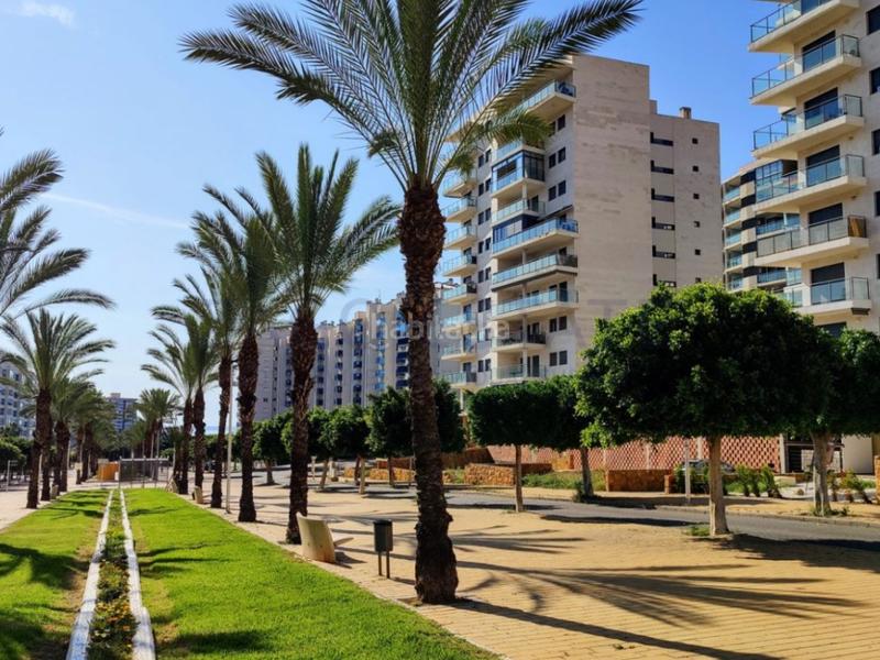 Foto fb8efe06-42ef-4708-9189-e9f768052dce. Lloguer apartament amb aparcament a Cala Alta-Veramar Vila Joiosa (la)