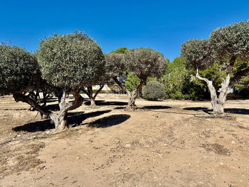 Foto f6d7eef3-a130-47e3-81e6-baf13faaf469. Casa adosada espectacular casa pareada en la nucía calidad de vida en una ubicación privilegiada en Nucia (la)