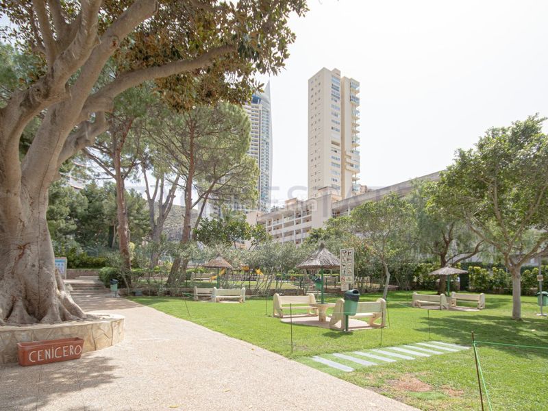 Foto f3841b5b-c14d-4836-a374-048bc48e173d. Lloguer apartament amb piscina a Rincón Alto Benidorm