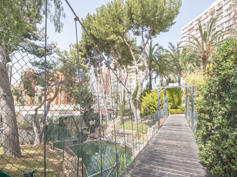 Foto 5aaf538d-1ce9-43a9-bf0f-19101a59f332. Lloguer apartament a avenida paris 12 a Rincón Alto Benidorm