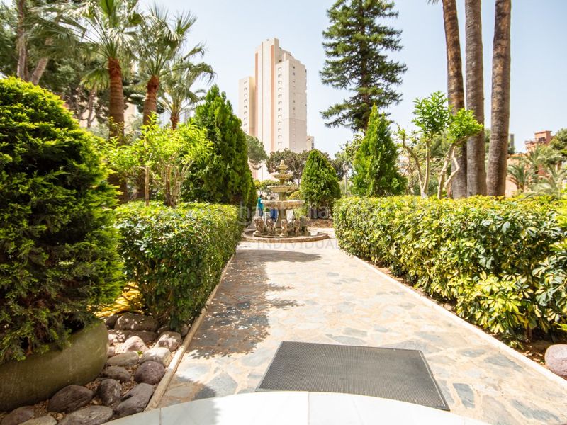 Foto 8512b8e6-5670-41bb-bc39-92dfd0dccdba. Lloguer apartament a avenida paris 12 a Rincón Alto Benidorm