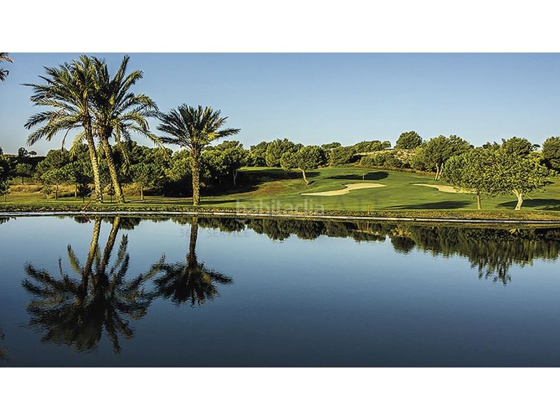 Foto e06ee06d-87e7-47f6-b375-10e9f7987e8a. Apartament amb piscina a Monforte del Cid