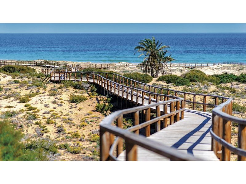 Foto e3758e20-d501-4300-9d63-805838233049. Apartament amb piscina a Monforte del Cid