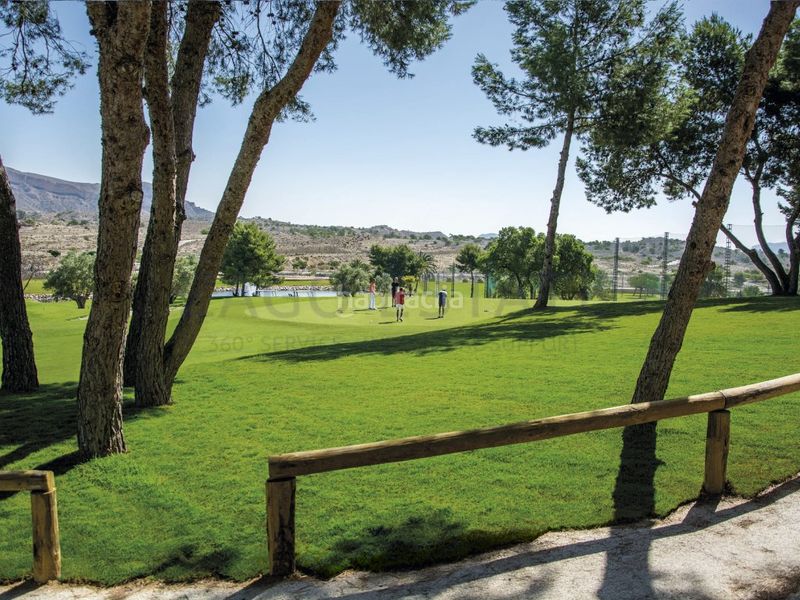 Foto f3ce2b77-dba7-4a9a-bb35-2df5cdd06532. Apartament amb piscina a Monforte del Cid