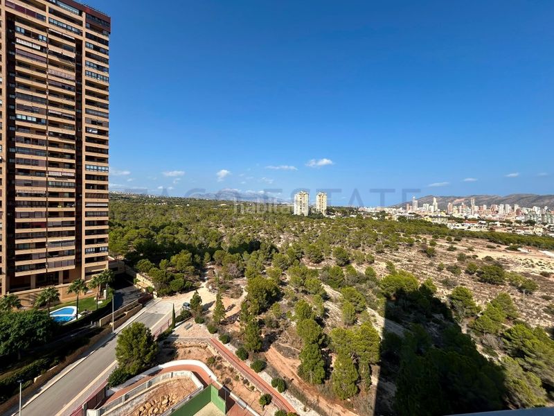 Foto 8e54e9a7-14b4-4c17-8a3f-ae1f9c64d914. Rent flat in calle presidente adolfo suarez 20 in Benidorm