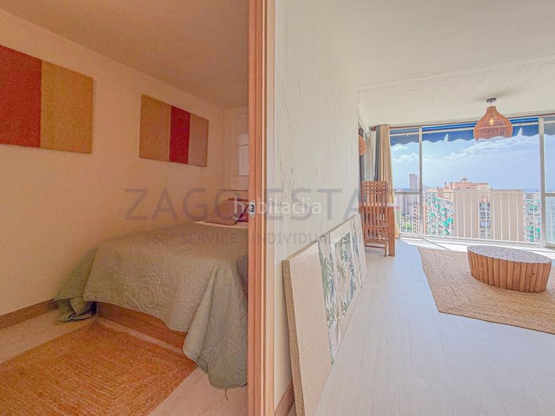 Foto a96253da-4175-4217-bf6a-c0ea78d96fec. Pis a Juzgados - Plaza de Toros Benidorm