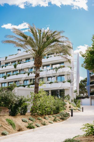 Foto 36cd2599-41a2-4d86-a1a9-318b14940a7a. Apartamento en L´Albir Alfàs del Pi (l´)