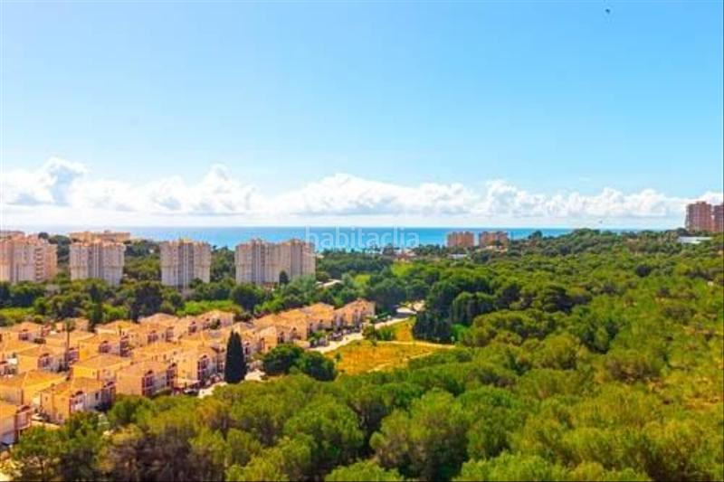 Foto 6cd01e6e-07e2-4ff1-8fdf-b6831efc47ac. Apartament a calle jacinto verdaguer-Campoamor a Orihuela