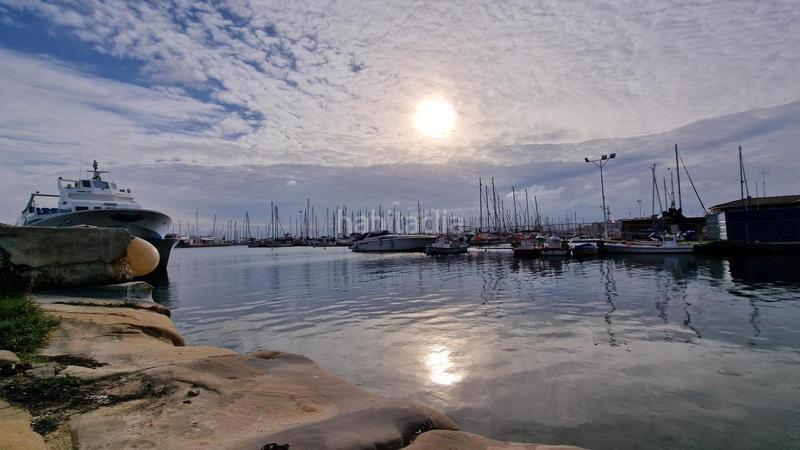 Foto 4f654458-c9db-4b9e-87fb-ef1e30a997f1. Rent apartment in calle jaen 1 in Cabo Cervera Torrevieja