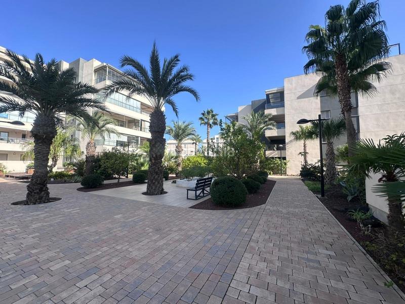 Foto 13acfd12-d042-4cc7-8a72-24d22ab166b7. Appartement in calle vanilla in Villamartín-Las Filipinas Orihuela