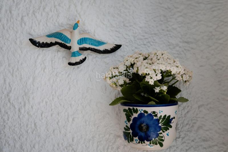 Foto d55da91c-29da-44b0-a558-dedaaa86b398. Piccolo appartamento in calle torre del moro 2 in Torrevieja