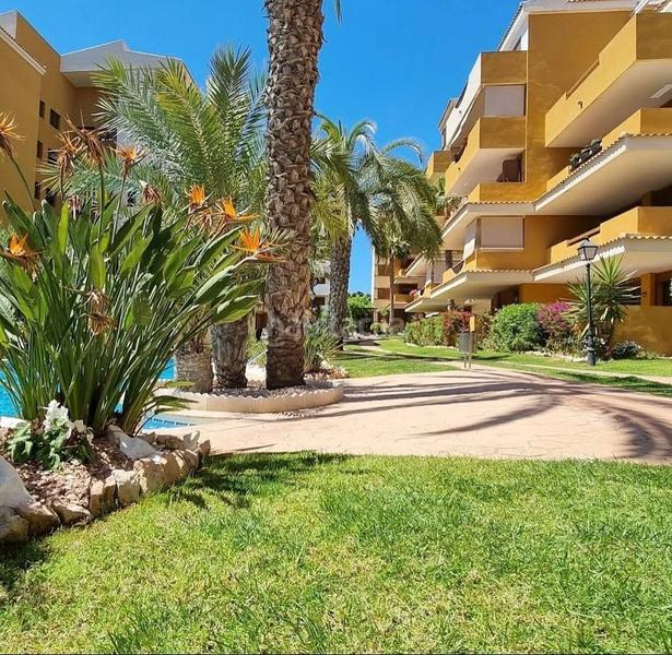 Foto 7d72f972-cca7-4752-ab78-efd652db3609. Piccolo appartamento in Punta Prima in Punta Prima Torrevieja