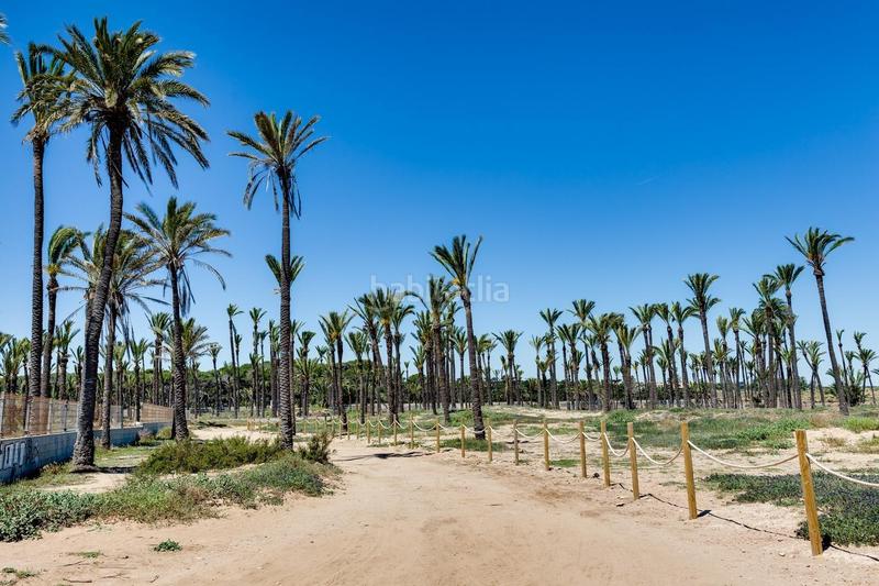 Foto 839e67d8-4096-4a95-af44-07fd090b6495. Piccolo appartamento in Punta Prima in Punta Prima Torrevieja