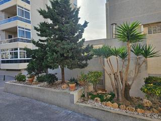 Apartment in Calle talia  4. Moderno apartamento en torreblanca, torrevieja  ideal para inver