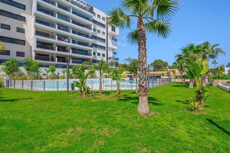 Foto 21fb991c-2d59-4242-ac81-0f05216d89b4. Appartement mit pool in Campoamor Orihuela