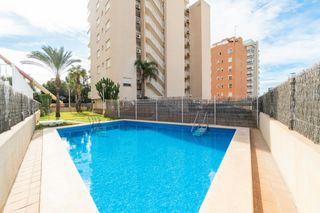 Apartament  Calle medico basilio parede. Apartamento de 3 dormitorios y 1 baño en guardamar del segura co