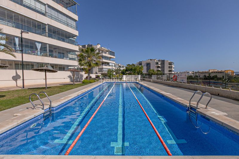 Foto c31ab0ea-39cb-4349-99d3-02c10d25a768. Apartament amb aparcament piscina a Lomas de Cabo Roig - Los Dolses Orihuela