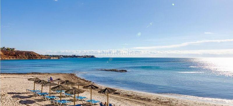 Foto 66d1a858-d224-4ee6-bdd8-adc943d525cb. Lloguer apartament a avenida de las habaneras 10 a Torrevieja