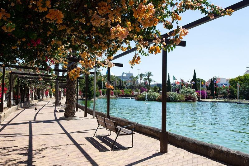 Foto cbcde15d-9073-4111-87e0-e72d2595c77a. Lloguer apartament a avenida de las habaneras 10 a Torrevieja