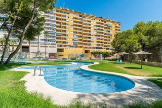 Apartament a Calle Calle Samaniego