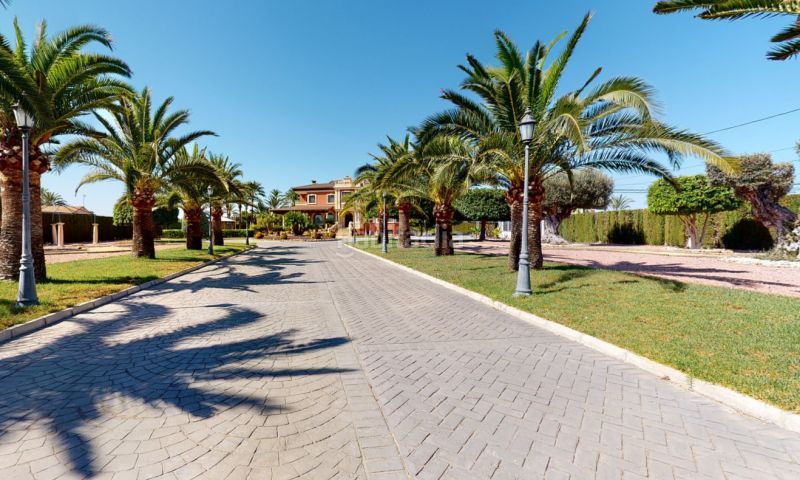 Foto a9fb1e16-e63d-4d0b-8cb8-7e0e0412f870. Xalet amb aparcament piscina a Perleta - Maitino Elche / Elx