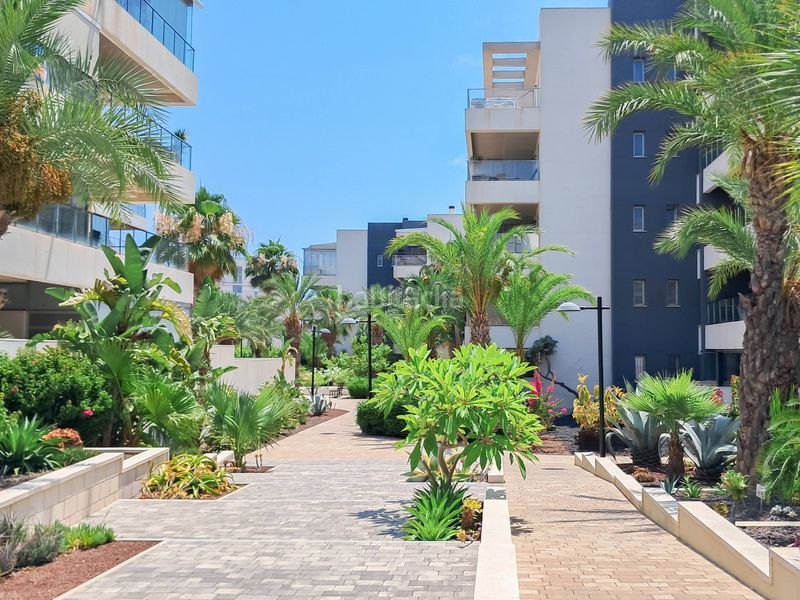 Foto 3d6b0a6c-267b-485e-967b-b16eb0b6a506. Erdgeschoss mit parking pool in Villamartín-Las Filipinas Orihuela