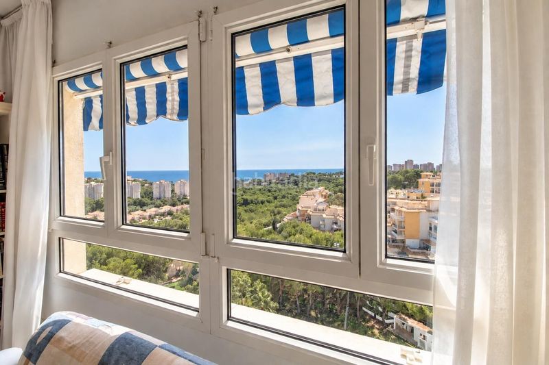 Foto 333f12e5-ee26-41ee-ac21-5ed76ca15a41. Apartamento  de 1 dormitorio 1 baño costa campo amor en Orihuela