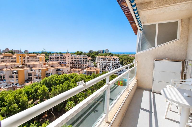 Foto 6b48b4ea-d61f-4730-a88b-199c0435e5bb. Apartamento  de 1 dormitorio 1 baño costa campo amor en Orihuela