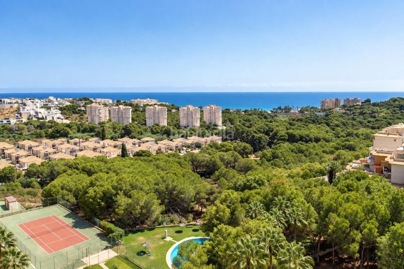 Foto 8b19a169-6d49-4587-81bd-6eb453226b87. Apartamento  de 1 dormitorio 1 baño costa campo amor en Orihuela