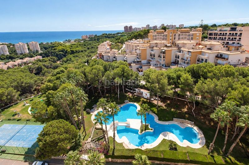 Foto 8c784dfb-0aaf-493a-b29a-af6940ccfd96. Apartamento  de 1 dormitorio 1 baño costa campo amor en Orihuela
