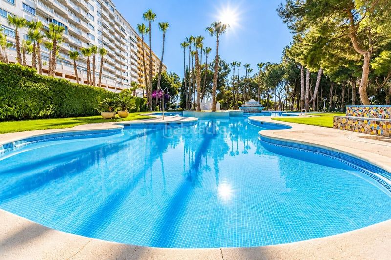 Foto dc4b6f94-67ac-4fd8-af87-bacd428d0f36. Apartamento  de 1 dormitorio 1 baño costa campo amor en Orihuela