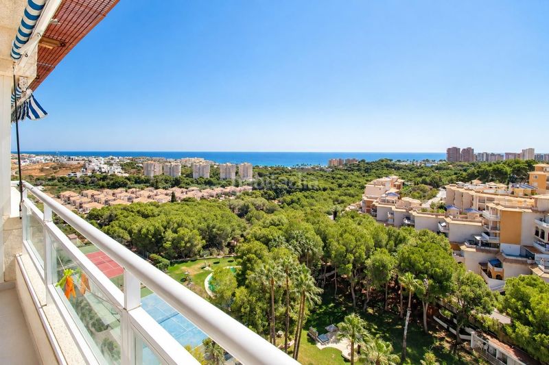 Foto f45fdab2-f73c-4cb6-be01-9df836fa4677. Apartamento  de 1 dormitorio 1 baño costa campo amor en Orihuela
