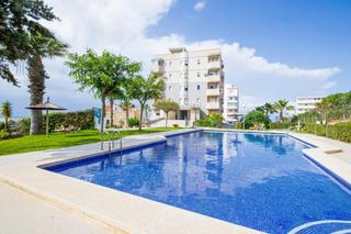 Location Studio à Calle aquiles 17. Se alquila estudio por minimo de 12 meses con piscina comunitari