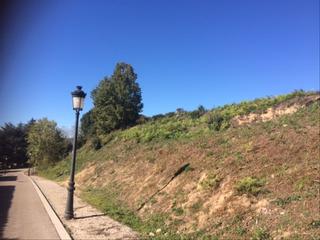 Residential Plot in Carrer del grevol 3
