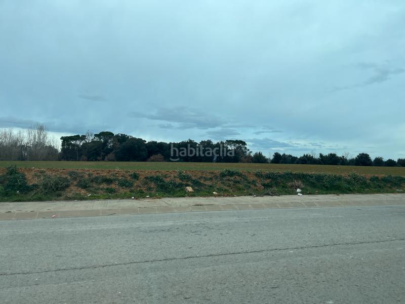 Foto 0cf50328-2972-4250-885b-34cbb0b3e976. Solar industrial terreny ús industrial de 7.559m2 en Fornells de la Selva