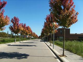 Terreno residencial  Avinguda padró. Solar de 556 m2