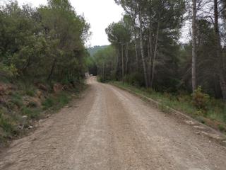 Terreny residencial a Montmell (El). Parcela urbana