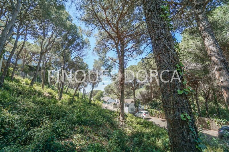 Foto 37df3638-6f29-4d0d-ae64-31faff0c12c0. Wohngrundstück in Cabrils
