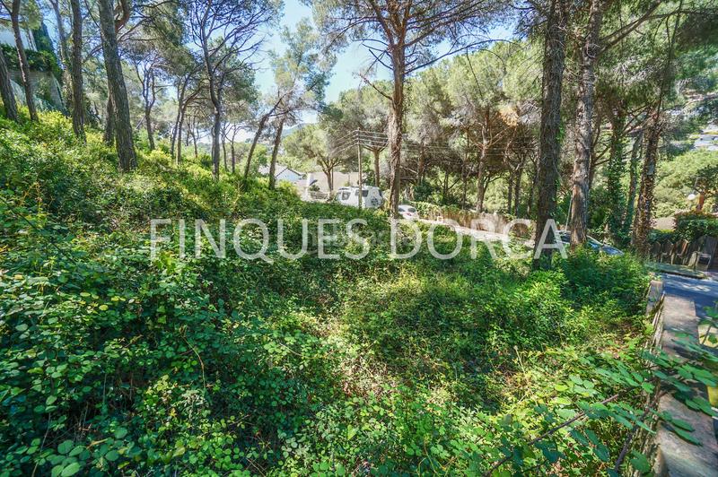 Foto 38af66c1-abef-4459-901c-559f32ae6214. Wohngrundstück in Cabrils