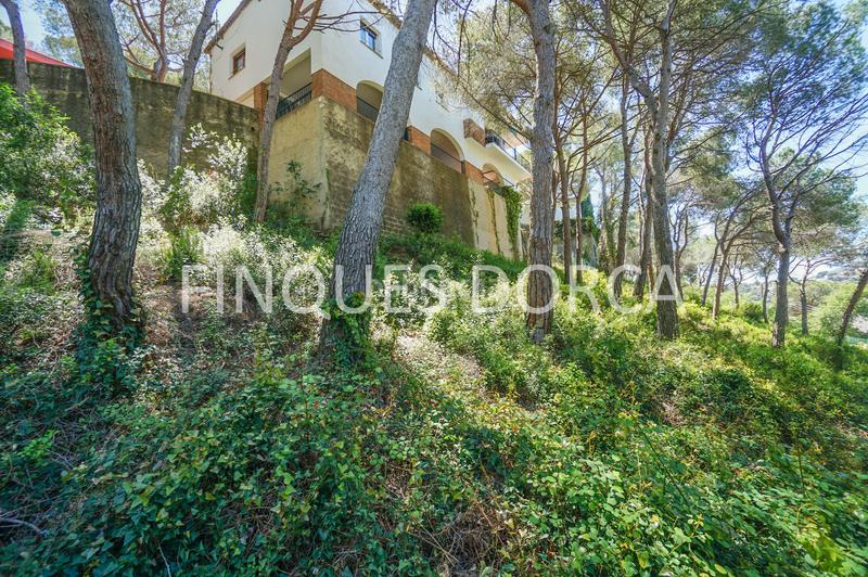 Foto dd5f2949-1a15-482e-84da-da54517b64c2. Wohngrundstück in Cabrils