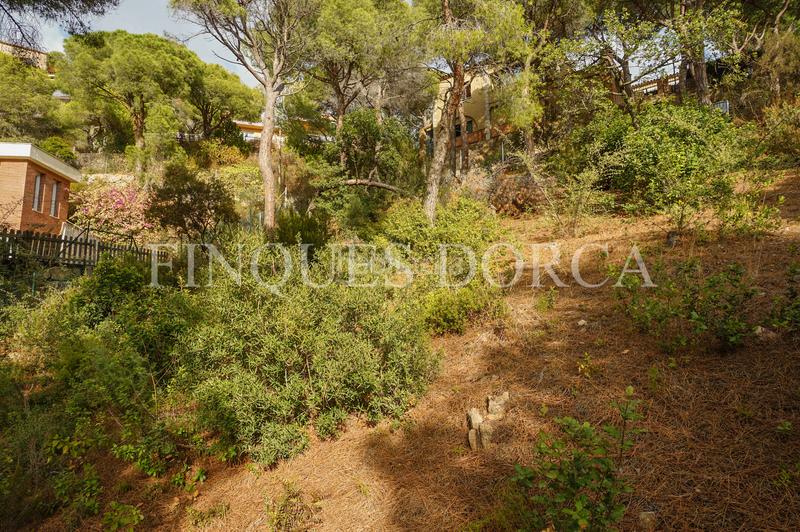 Foto bd041522-ac5f-42cf-8ab3-30d90ed1b742. Terrain résidentiel dans Cabrils